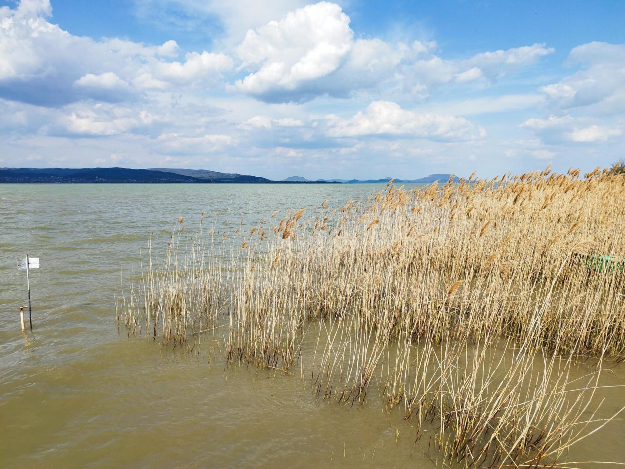 Bed and Breakfast Margaréta Étterem Panzió Balatonberény Esterno foto